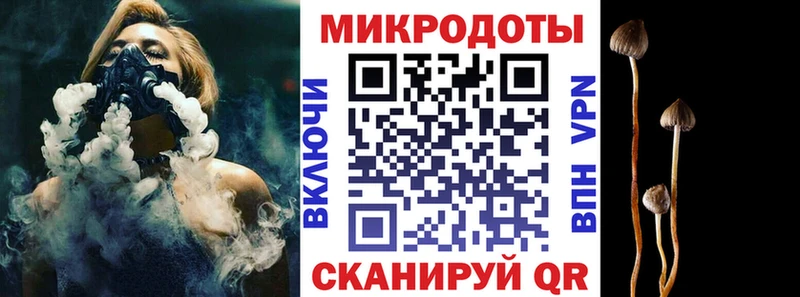 гидра как войти Алейск Галлюциногенные грибы мицелий